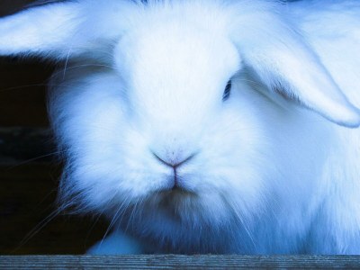 Apartment Appartement/Fewo, Toilette und Bad/Dusche getrennt - Features photo 121