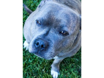 Apartment Appartement/Fewo, Toilette und Bad/Dusche getrennt - Features photo 122