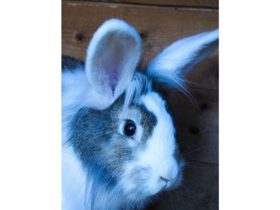 Apartment Appartement/Fewo, Toilette und Bad/Dusche getrennt - Features photo 123