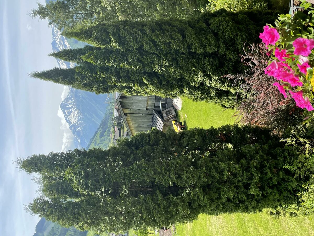 Apartment Apartment 'Hochalm'/2 Schlafräume/Du od. - Outdoor photo 3