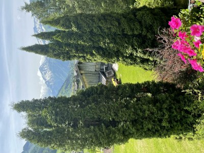 Apartment Apartment 'Hochalm'/2 Schlafräume/Du od. - Outdoor photo 3