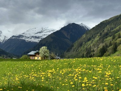 Apartment Apartment 'Hochalm'/2 Schlafräume/Du od. - Outdoor photo 14