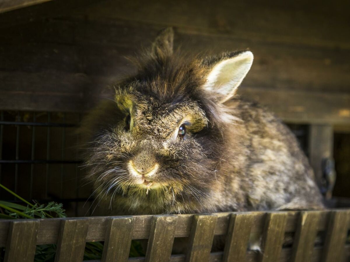Apartment Platteck Family :-) 2 Schlafräume - Outdoor photo 5