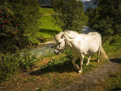 Apartment Platteck Family :-) 2 Schlafräume - Outdoor photo 7