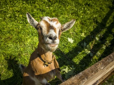 Apartment Platteck Family :-) 2 Schlafräume - Outdoor photo 9