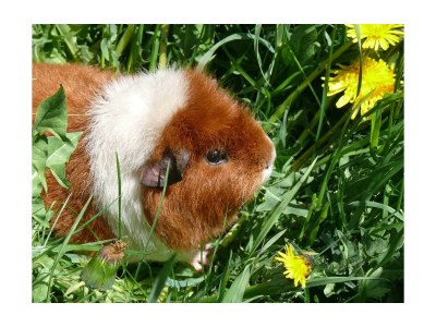 Apartment Platteck Family :-) 2 Schlafräume - Outdoor photo 10