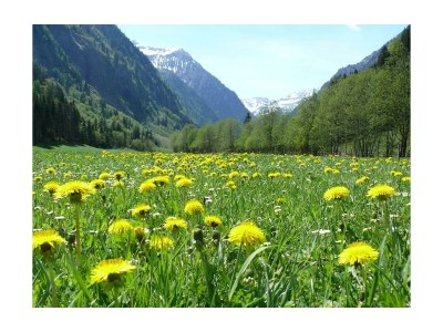 Apartment Platteck Family :-) 2 Schlafräume - Outdoor photo 12