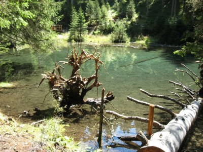 Holiday room Komfortzimmer Aktiv mit Dusche/WC, und Balkon - Outdoor photo 39
