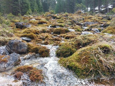 Holiday room Komfortzimmer Aktiv mit Dusche/WC, und Balkon - Outdoor photo 48