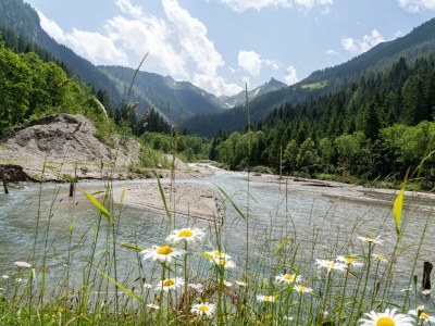 Holiday room Komfortzimmer Aktiv mit Dusche/WC, und Balkon - Outdoor photo 81