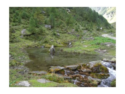 Holiday room Komfortzimmer Aktiv mit Dusche/WC, und Balkon - Outdoor photo 97