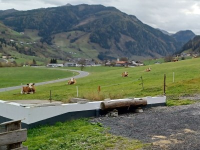 Apartment Appartement/Fewo, Dusche, WC, 2 Schlafräume - Outdoor photo 22