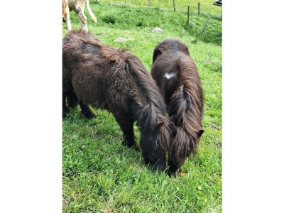 Apartment Appartement/Fewo, Dusche, WC, 2 Schlafräume - Outdoor photo 24