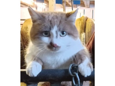 Apartment Appartement/Fewo, Dusche, WC, 2 Schlafräume - Outdoor photo 29