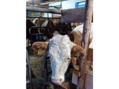 Apartment Appartement/Fewo, Dusche, WC, 2 Schlafräume - Outdoor photo 36