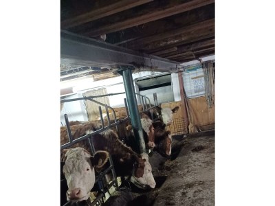 Apartment Appartement/Fewo, Dusche, WC, 2 Schlafräume - Outdoor photo 42