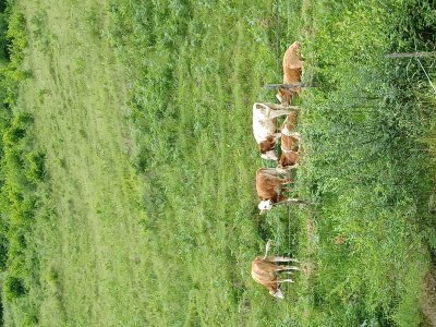 Apartment Appartement/Fewo, Dusche, WC, 2 Schlafräume - Outdoor photo 50