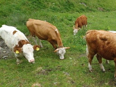 Apartment Appartement/Fewo, Dusche, WC, 2 Schlafräume - Outdoor photo 51