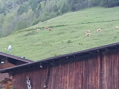 Apartment Appartement/Fewo, Dusche, WC, 2 Schlafräume - Outdoor photo 52