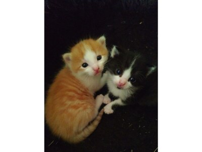 Apartment Appartement/Fewo, Dusche, WC, 2 Schlafräume - Outdoor photo 57