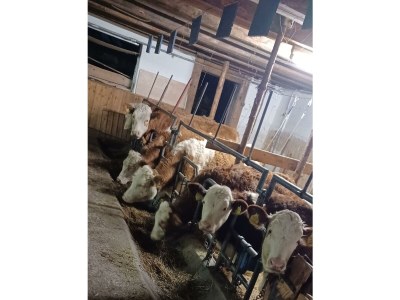 Apartment Appartement/Fewo, Dusche, WC, 2 Schlafräume - Outdoor photo 61