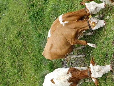 Apartment Appartement/Fewo, Dusche, WC, 2 Schlafräume - Outdoor photo 64