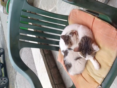 Apartment Appartement/Fewo, Dusche, WC, 2 Schlafräume - Outdoor photo 65