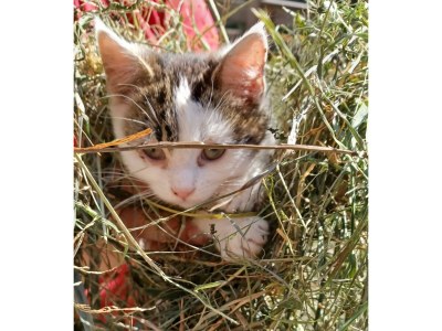 Apartment Appartement/Fewo, Dusche, WC, 2 Schlafräume - Outdoor photo 66