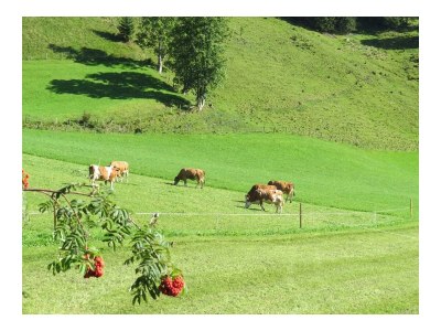 Apartment Apartment/2 Schlafräume/Dusche, WC - Outdoor photo 15