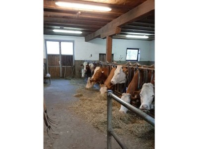 Apartment Apartment/2 Schlafräume/Dusche, WC - Outdoor photo 17