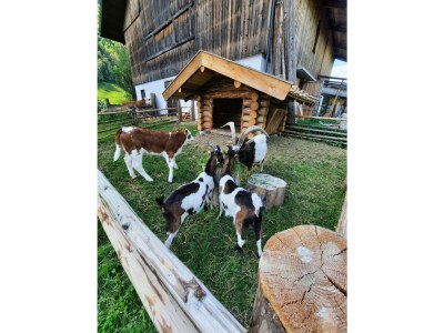 Apartment Apartment/2 Schlafräume/Dusche, WC - Outdoor photo 27