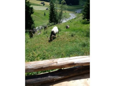 Apartment Apartment/2 Schlafräume/Dusche, WC - Outdoor photo 32