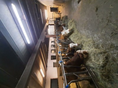 Apartment Apartment/2 Schlafräume/Dusche, WC - Outdoor photo 41