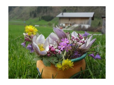 Apartment Apartment/2 Schlafräume/Dusche, WC - Features photo 60