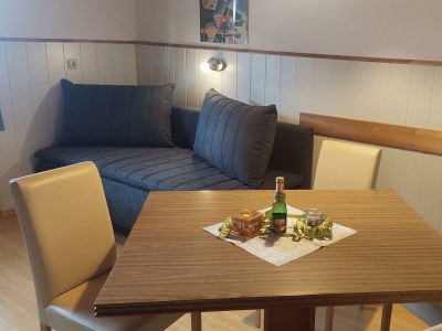 Apartment Apartment/1 Schlafr.+1 Wohn- Schlafraum,DU/WC - Features photo 9