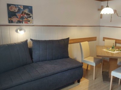 Apartment Apartment/1 Schlafr.+1 Wohn- Schlafraum,DU/WC - Features photo 16