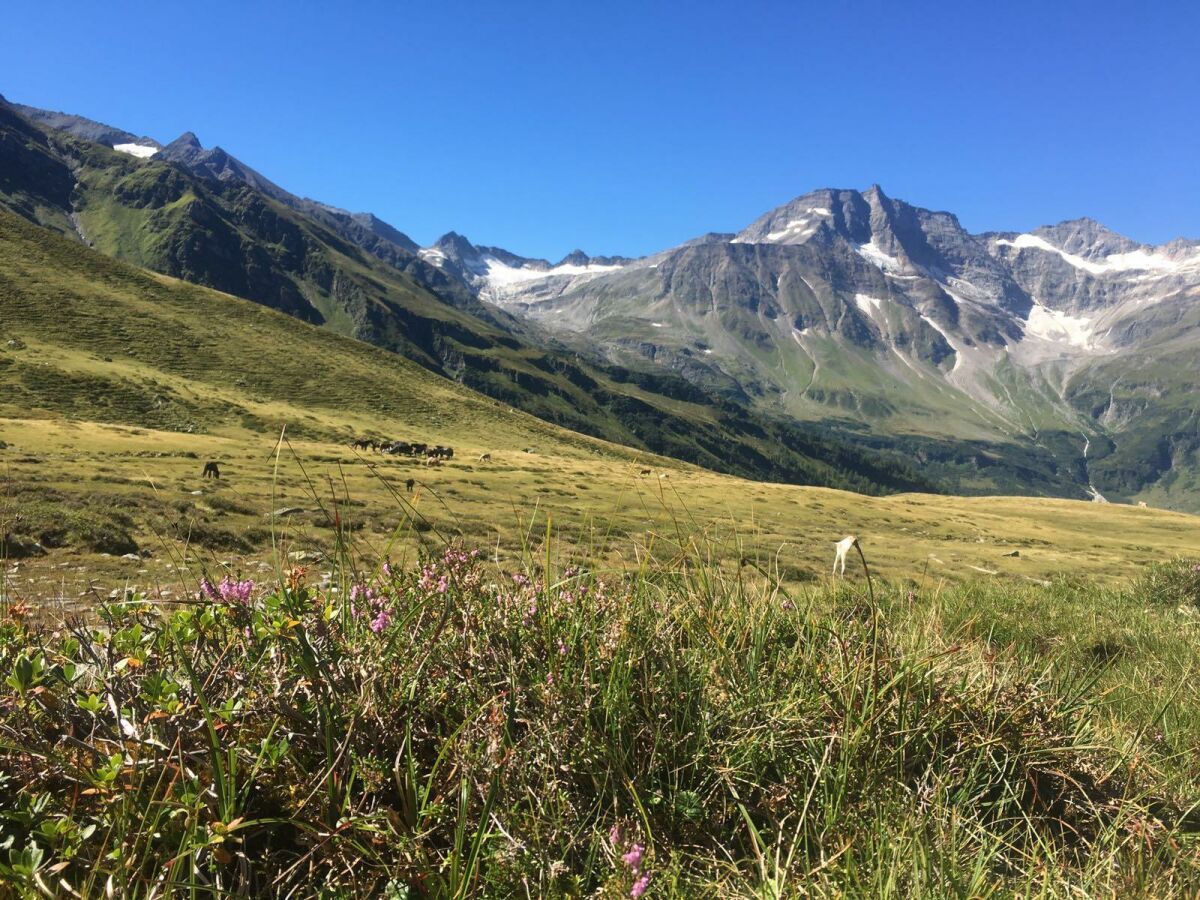 Holiday room Doppelzimmer mit Dusche, WC - Outdoor photo 4