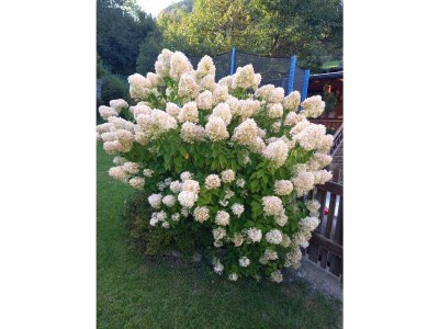 Apartment Ferienhaus, Toilette und Bad/Dusche getrennt, 4 SZ - Outdoor photo 13