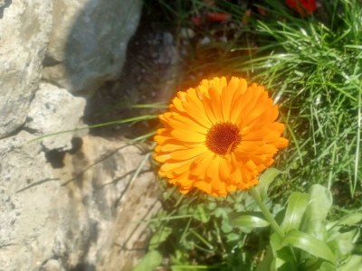 Apartment Gaisbach/ 2 Schlafräume/ Bad, WC - Outdoor photo 9