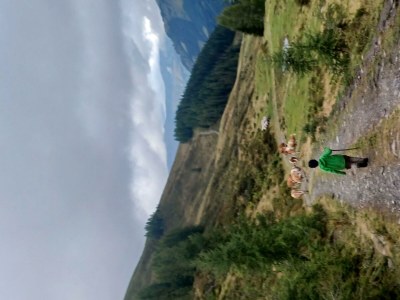 Apartment Gaisbach/ 2 Schlafräume/ Bad, WC - Outdoor photo 10