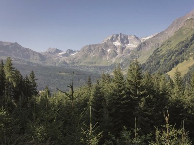 Apartment Gaisbach/ 2 Schlafräume/ Bad, WC - Outdoor photo 12