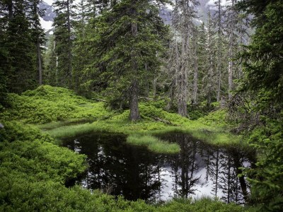 Apartment Gaisbach/ 2 Schlafräume/ Bad, WC - Outdoor photo 15