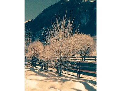 Apartment Ferienhaus Bergzauber - Outdoor photo 19