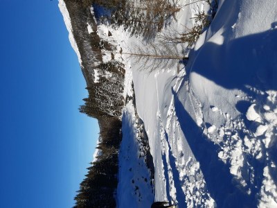 Apartment Ferienhaus Bergzauber - Outdoor photo 33