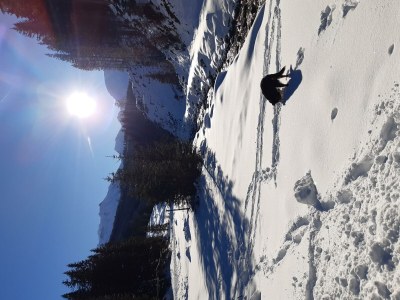 Apartment Ferienhaus Bergzauber - Outdoor photo 35