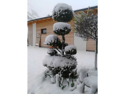 Apartment Ferienhaus Bergzauber - Outdoor photo 41