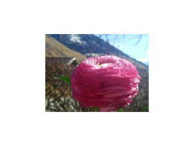 Apartment Ferienhaus Bergzauber - Outdoor photo 46