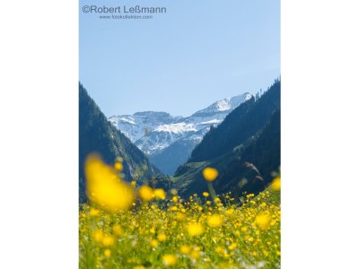 Apartment Ferienhaus Bergzauber - Outdoor photo 48