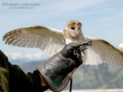 Apartment Ferienhaus Bergzauber - Outdoor photo 49