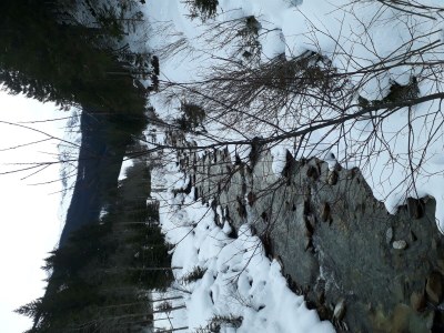 Apartment Ferienhaus Bergzauber - Outdoor photo 57